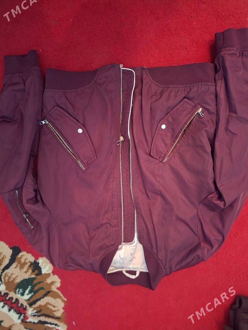 kurtkalar - Дашогуз - img 1