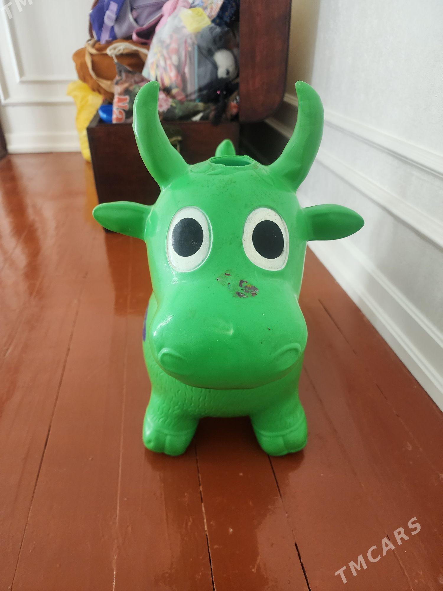 salancak masin sygyr - Дашогуз - img 1