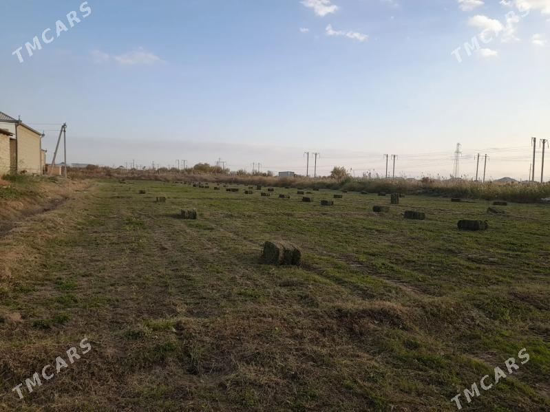 Yorunja kiyip - Мары - img 2