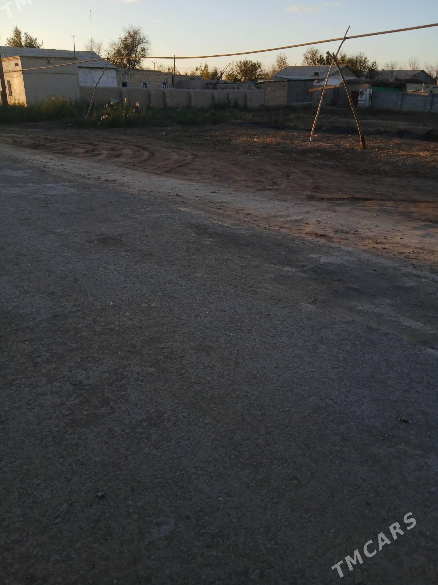 Satlyk jay - Köneürgenç - img 3