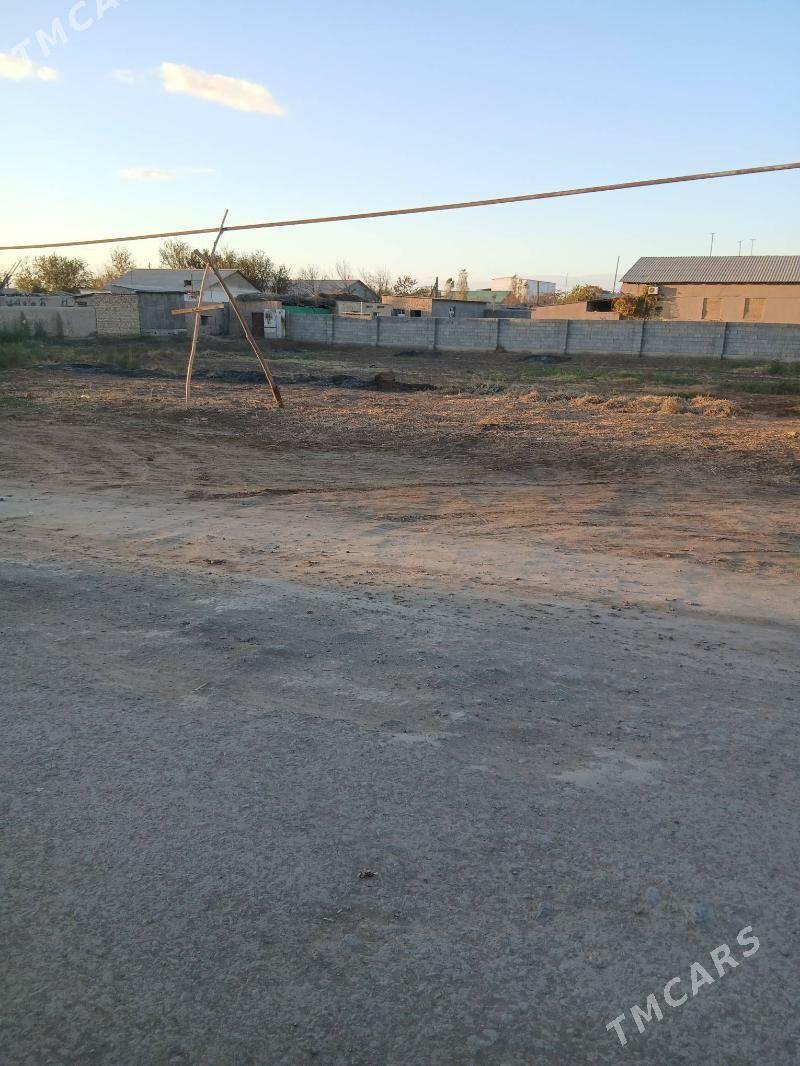 Satlyk jay - Köneürgenç - img 2