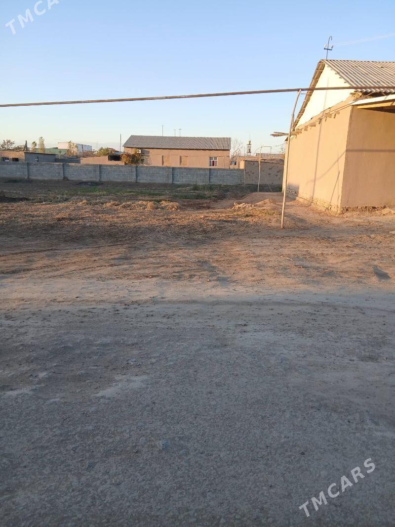 Satlyk jay - Köneürgenç - img 1