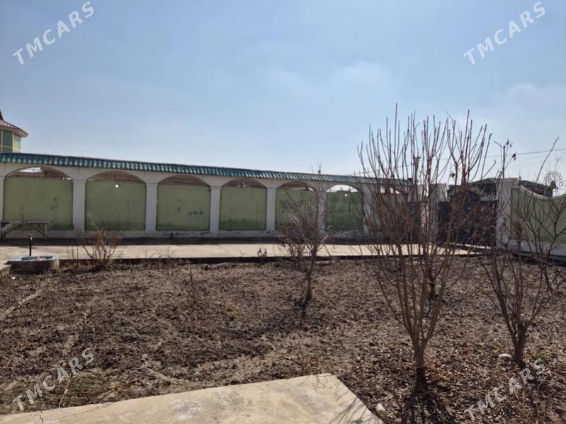 Satlyk howly - Туркменабат - img 3