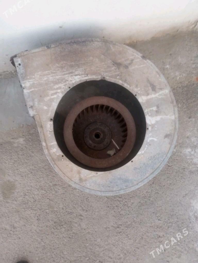 ulitka witichka - Дашогуз - img 2