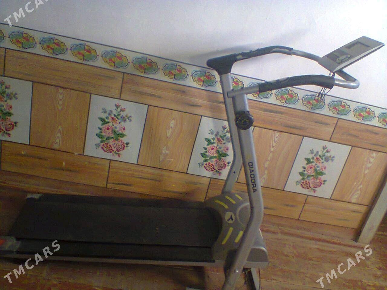 begowaya daroska - Görogly (Tagta) - img 3