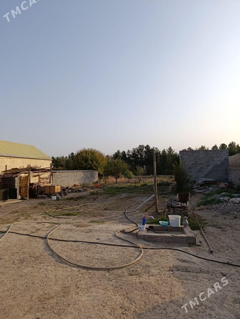 6sotok boş yer - Gypjak - img 3