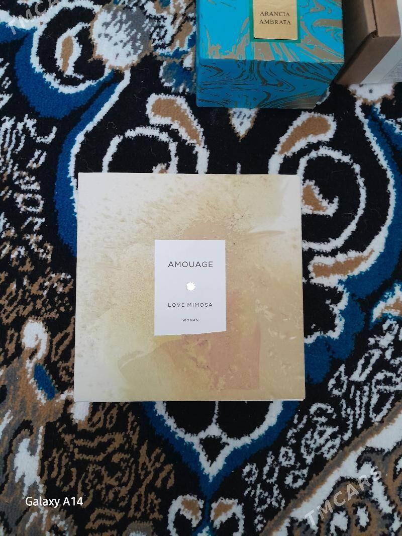 love mimosa - Бузмеин - img 1