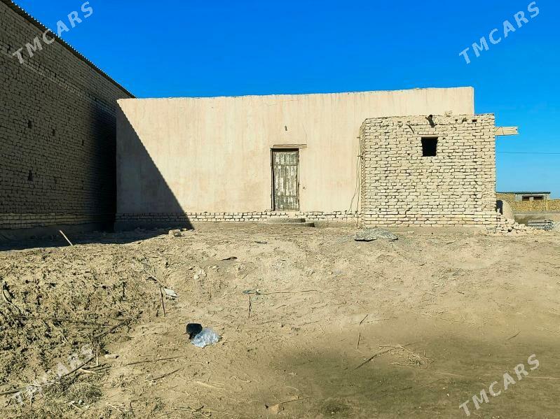 Satlyk Jaý(Dilewar Garagum 12) - Шабатский этрап - img 6