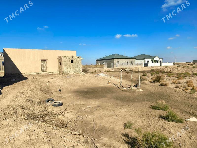 Satlyk Jaý(Dilewar Garagum 12) - Шабатский этрап - img 4