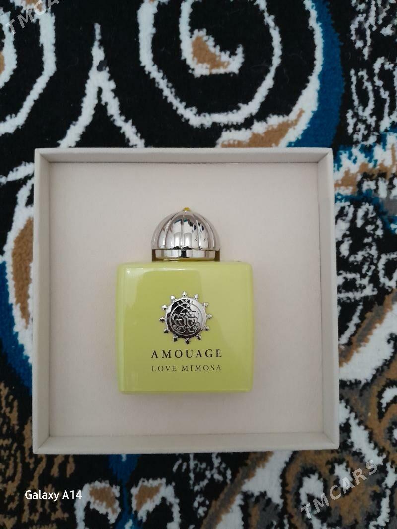 love mimosa - Бузмеин - img 2