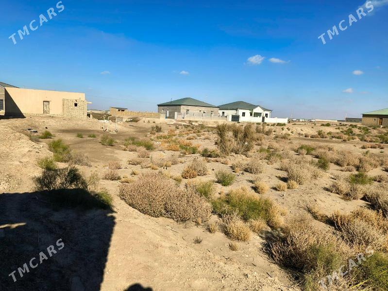 Satlyk Jaý(Dilewar Garagum 12) - Шабатский этрап - img 2