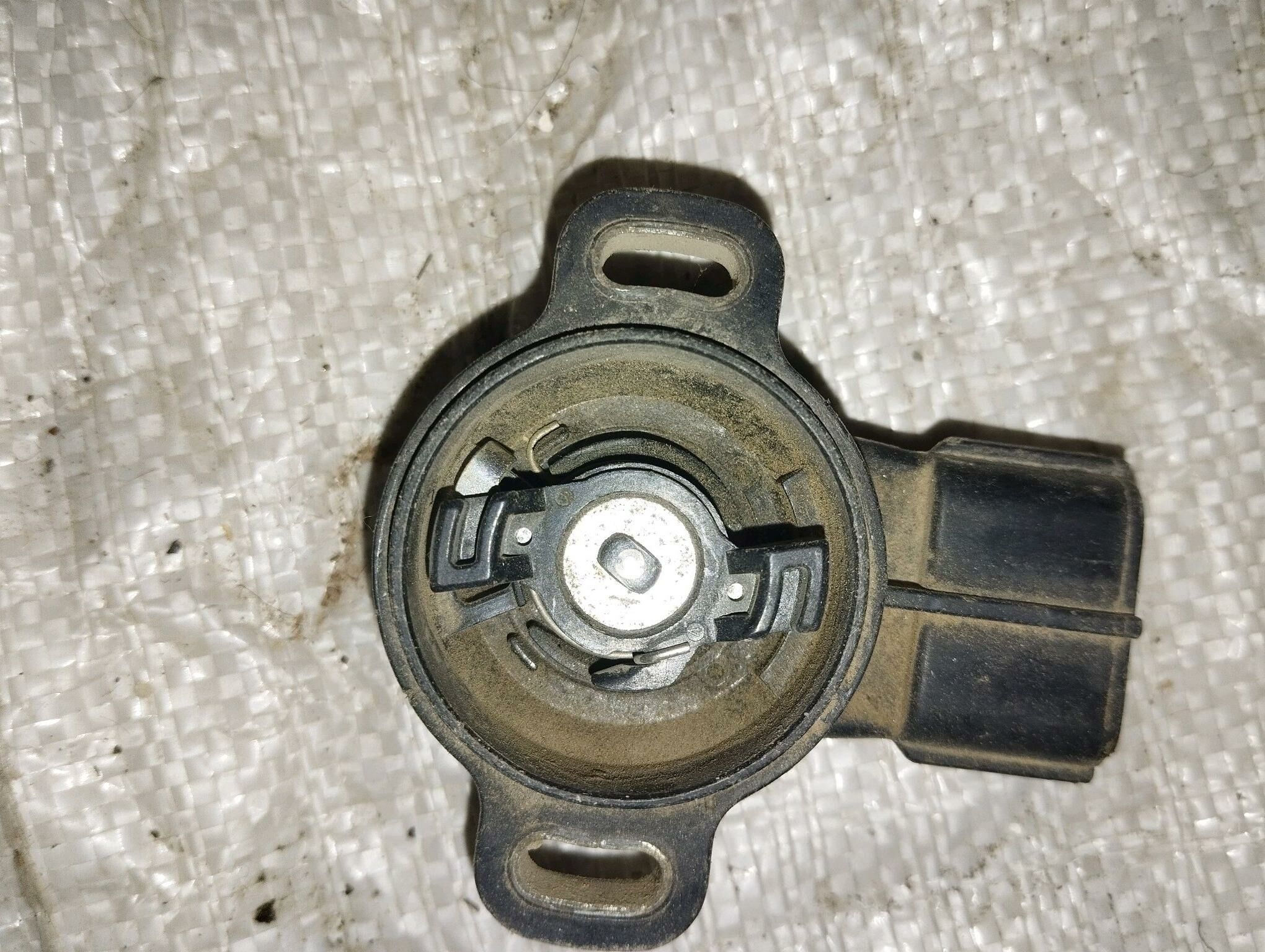 Mark kardan 200 TMT - Mary - img 7