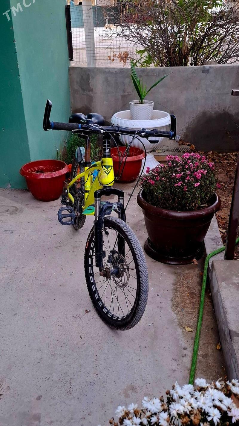 Велик - Туркменбаши - img 2