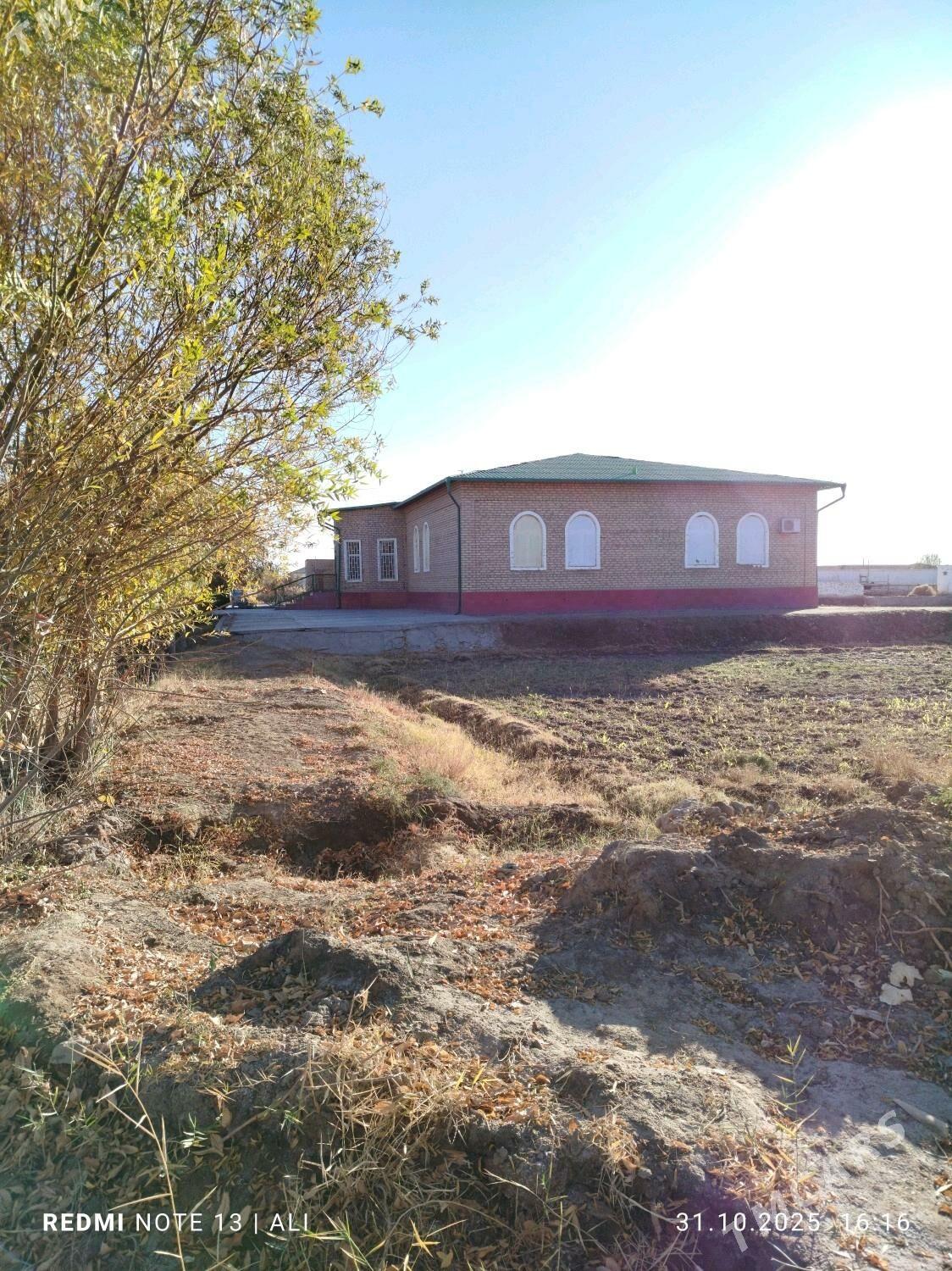 Satlyk Jay - Daşoguz - img 3