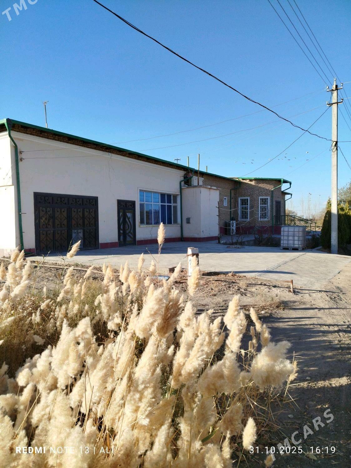 Satlyk Jay - Daşoguz - img 2