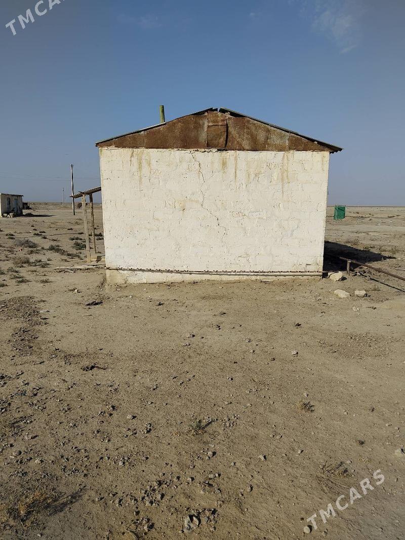 Satlyk Jay - Этрек - img 3