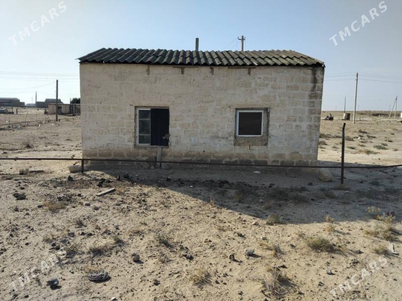 Satlyk Jay - Этрек - img 2