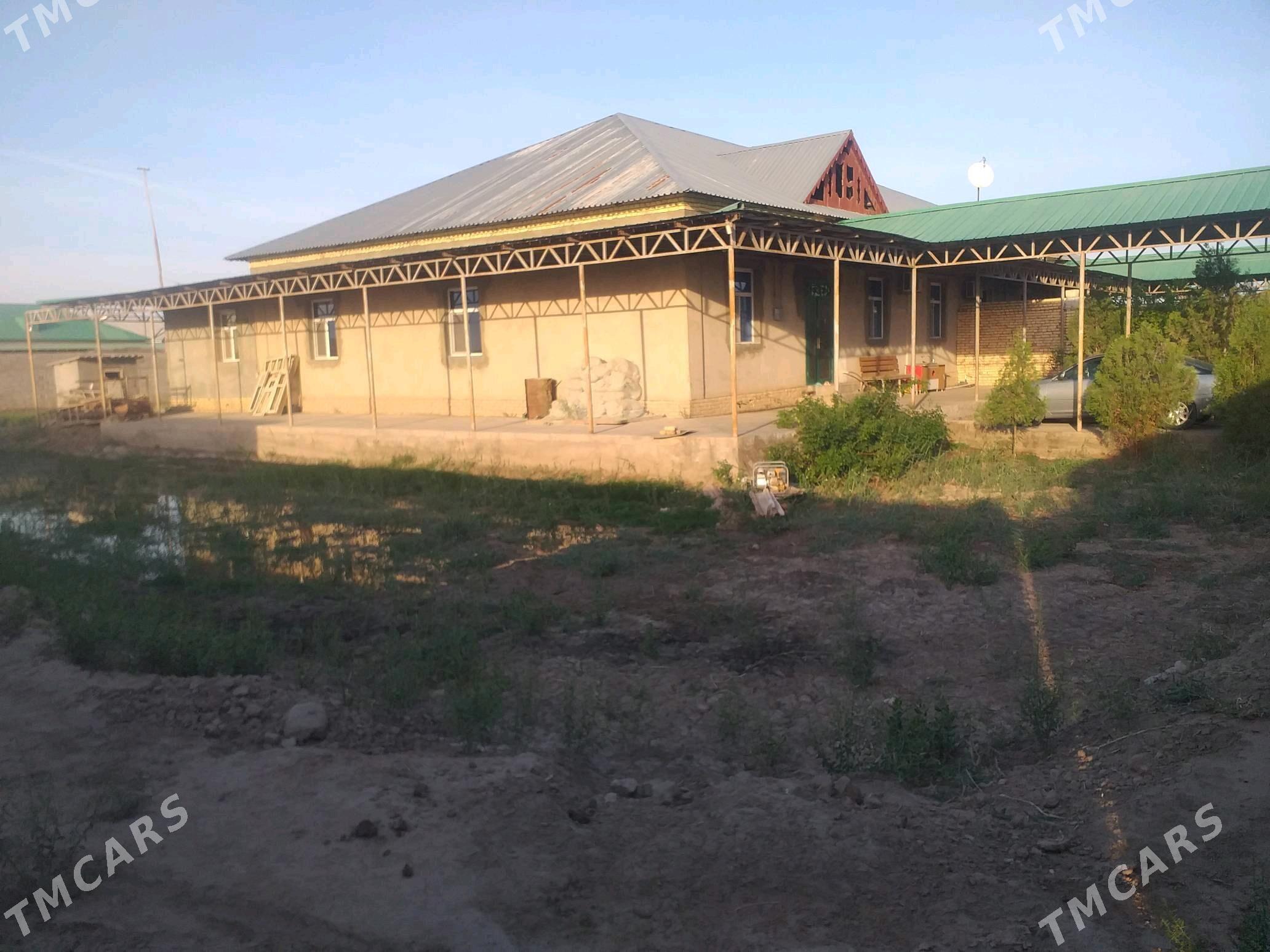 JAY SATLYK.ЧАЙ САТЛЫК - Şabat etr. - img 6