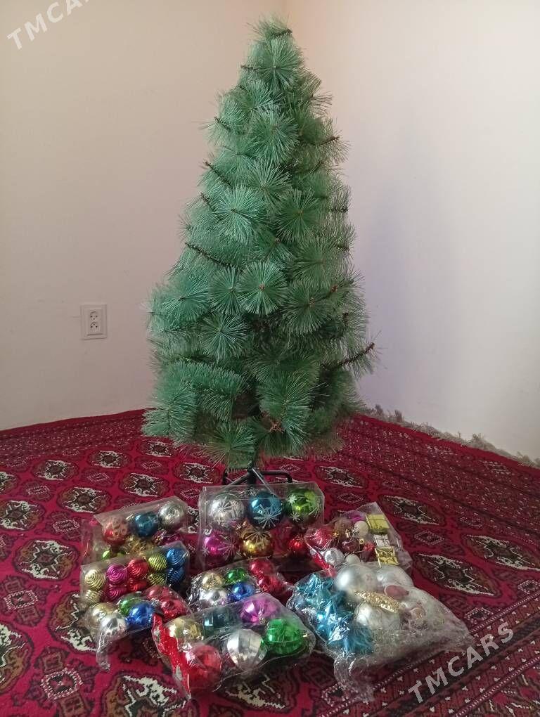 Arça yolka - Бахарден - img 2