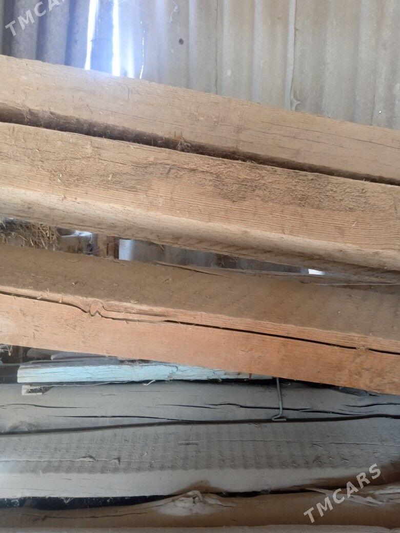 Agaçlar poluklar balka togalak - Туркменгала - img 4