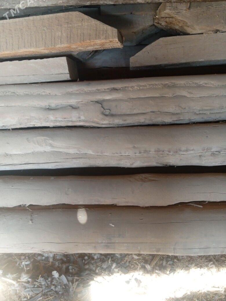 Agaçlar poluklar balka togalak - Туркменгала - img 6