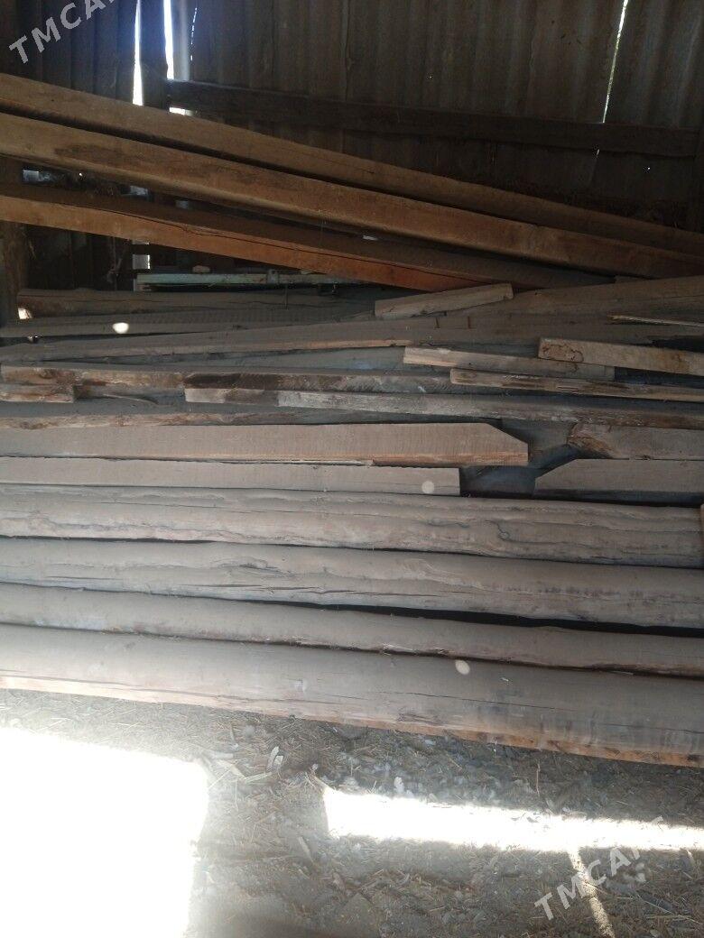 Agaçlar poluklar balka togalak - Туркменгала - img 5