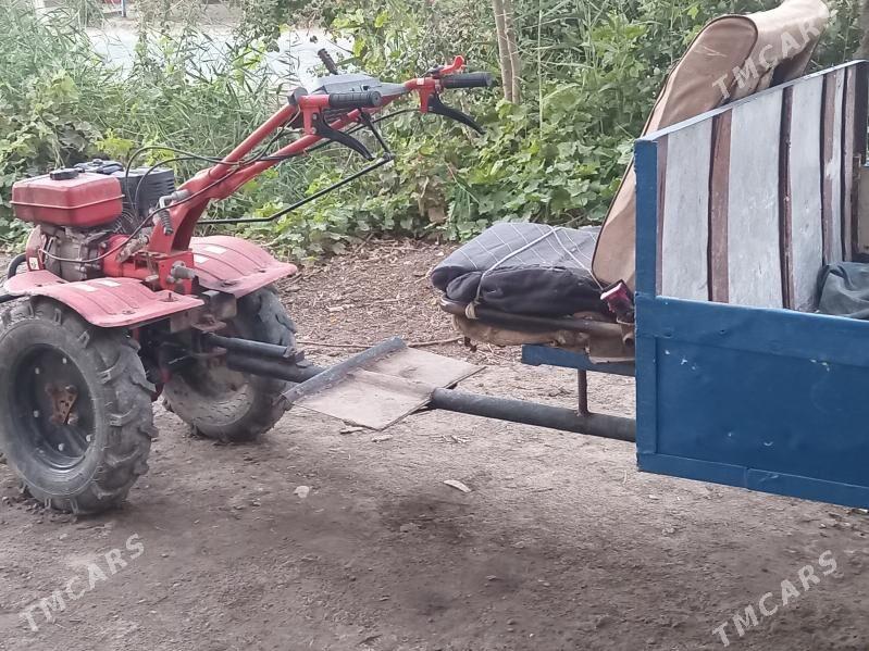 matabulok - Dänew - img 2