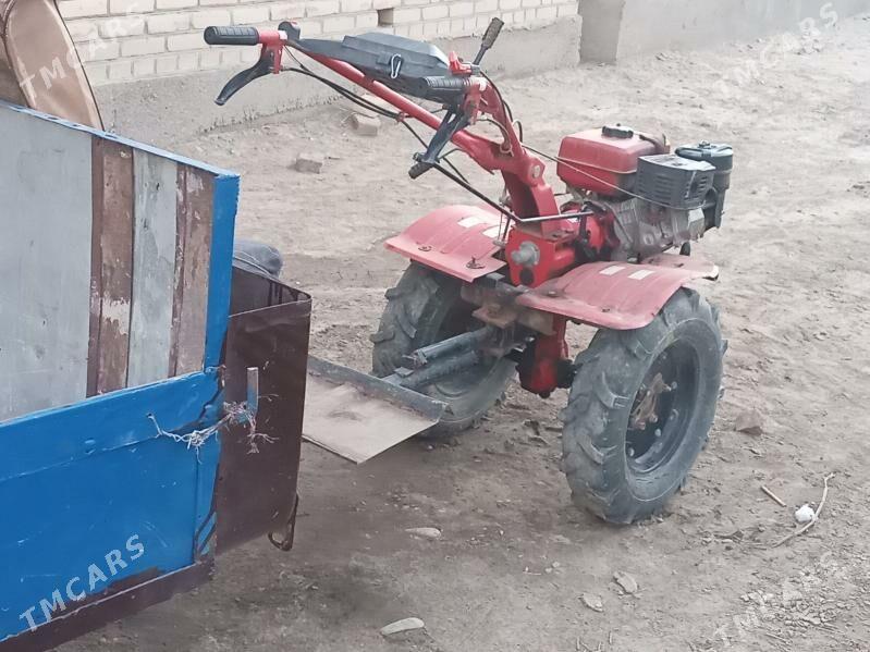 matabulok - Dänew - img 3