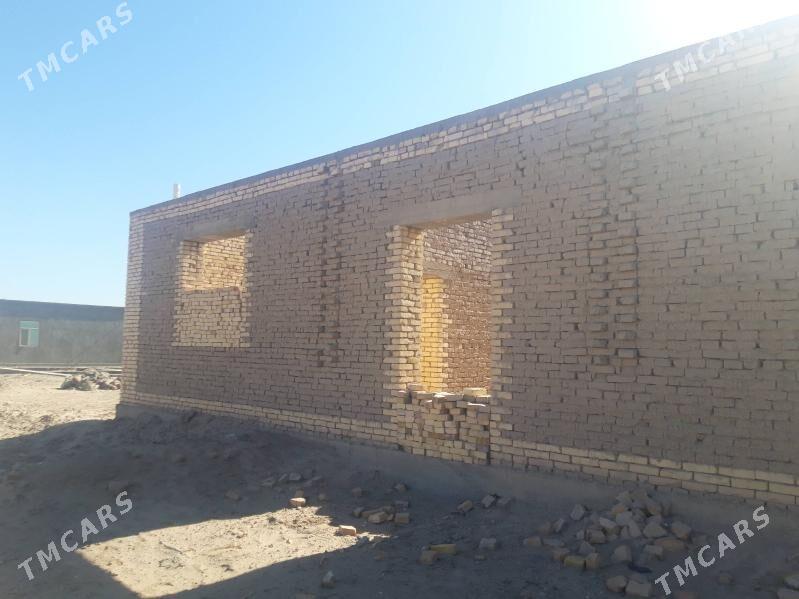 Satlyk jay - Daşoguz - img 5