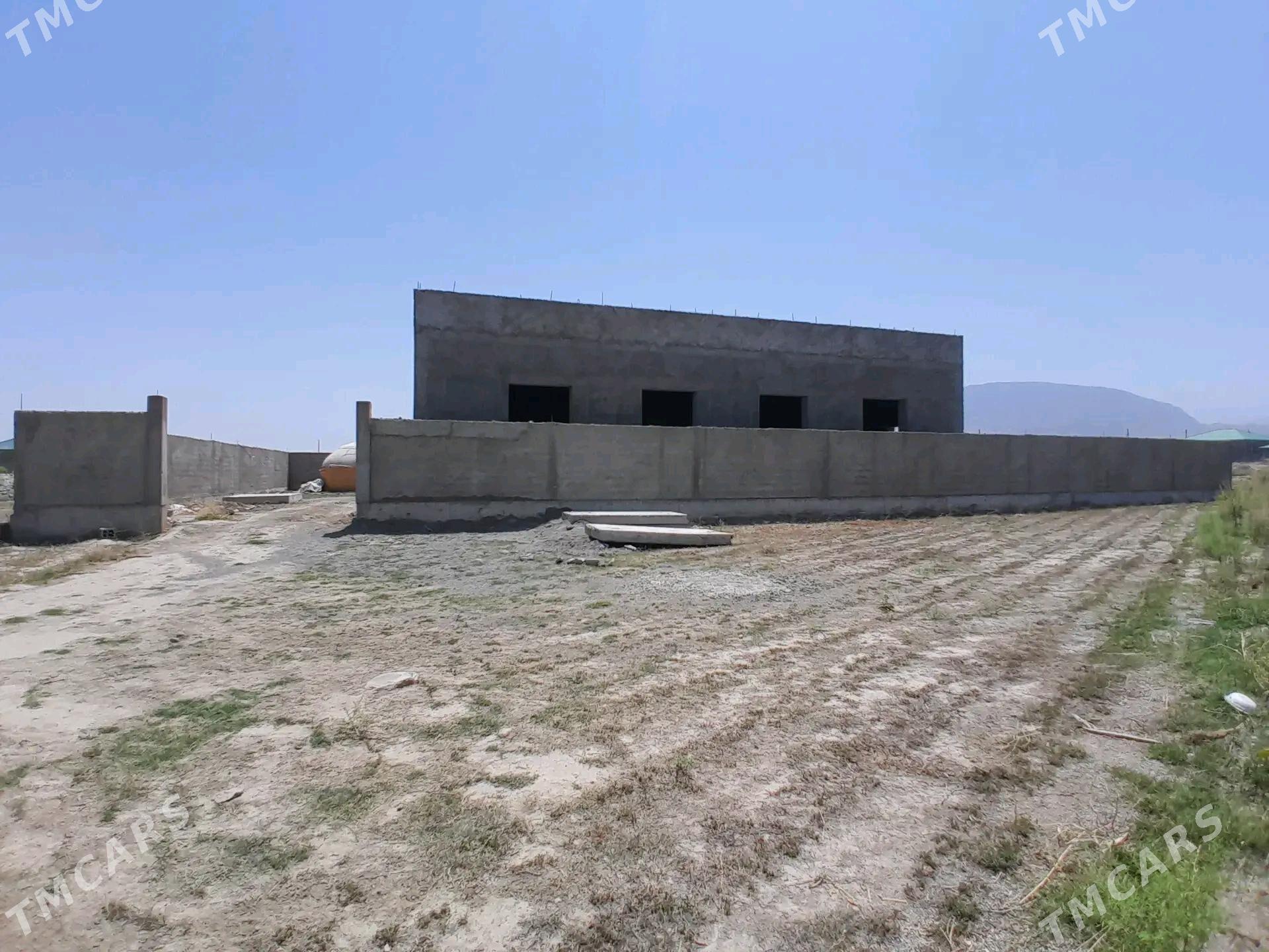 Satlyk jaÿ Gyssagly ÿagdaÿda - Gökdepe - img 4