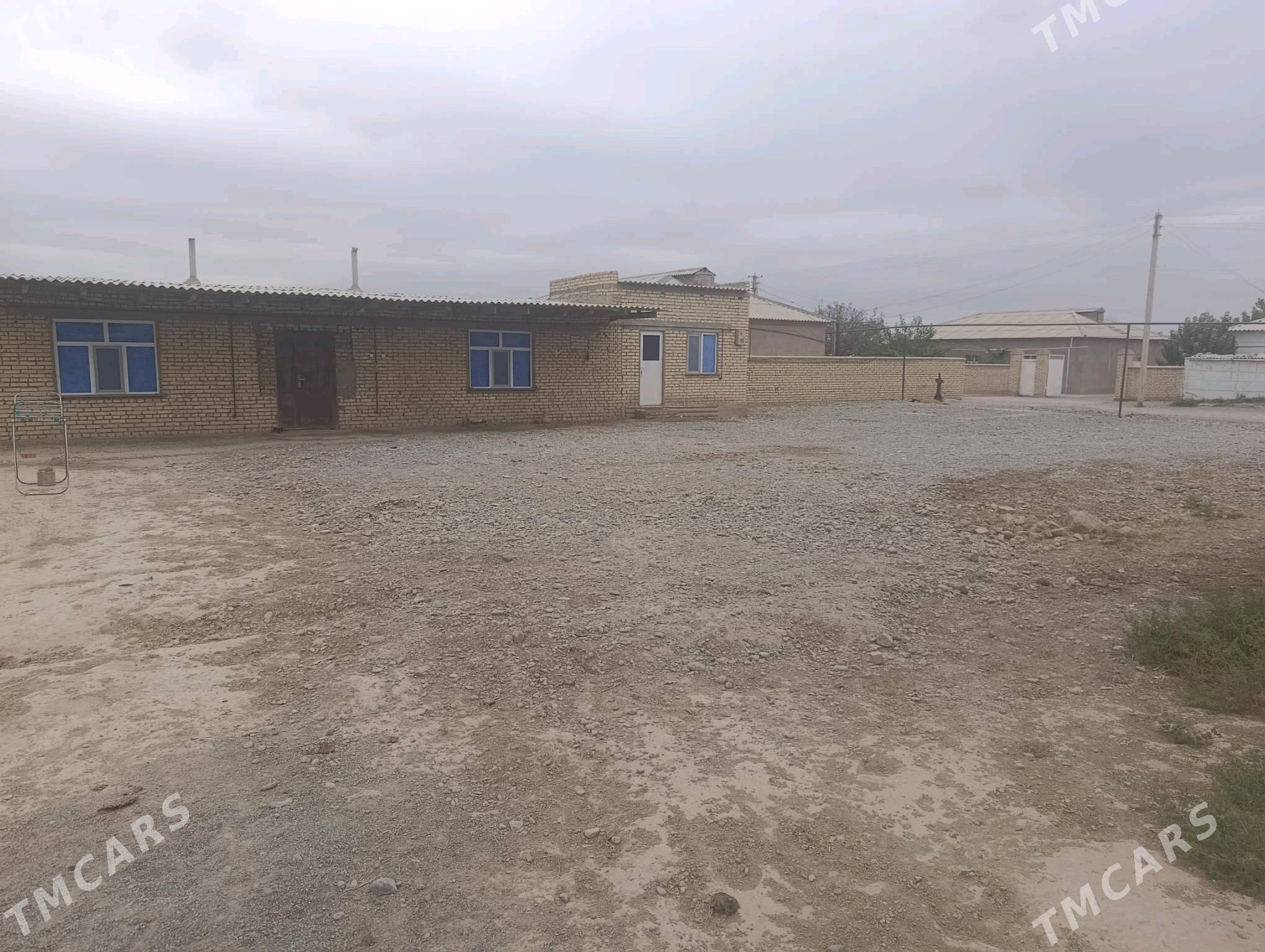 Mellek ýer - Кака - img 7