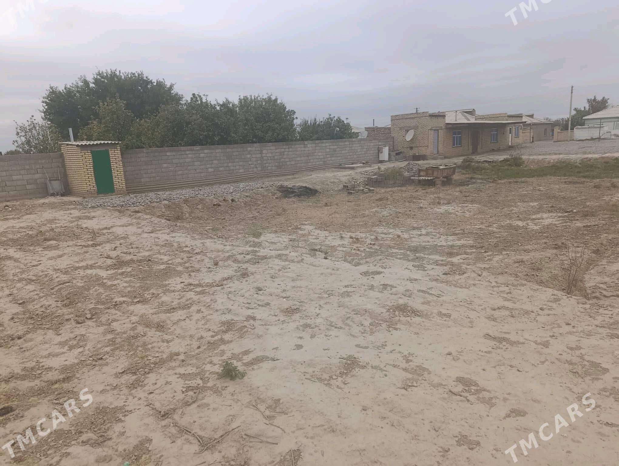 Mellek ýer - Кака - img 5