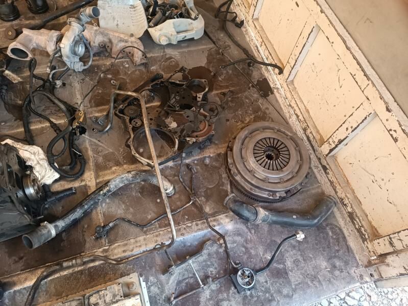 MAL MATOR 1 TMT - Çoganly - img 3