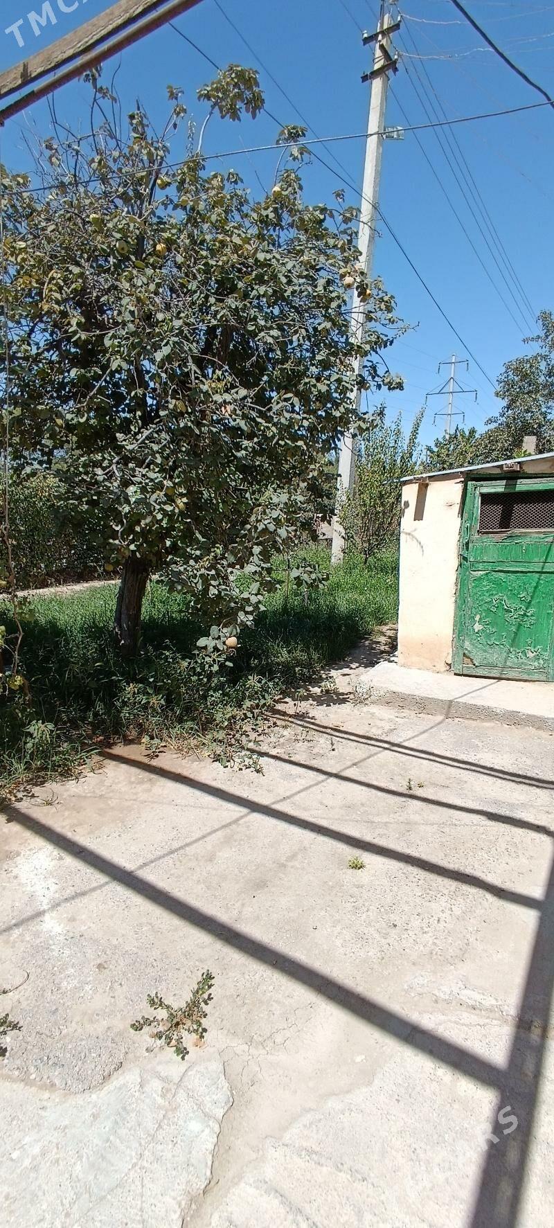 Безмейин круг - Büzmeýin - img 10