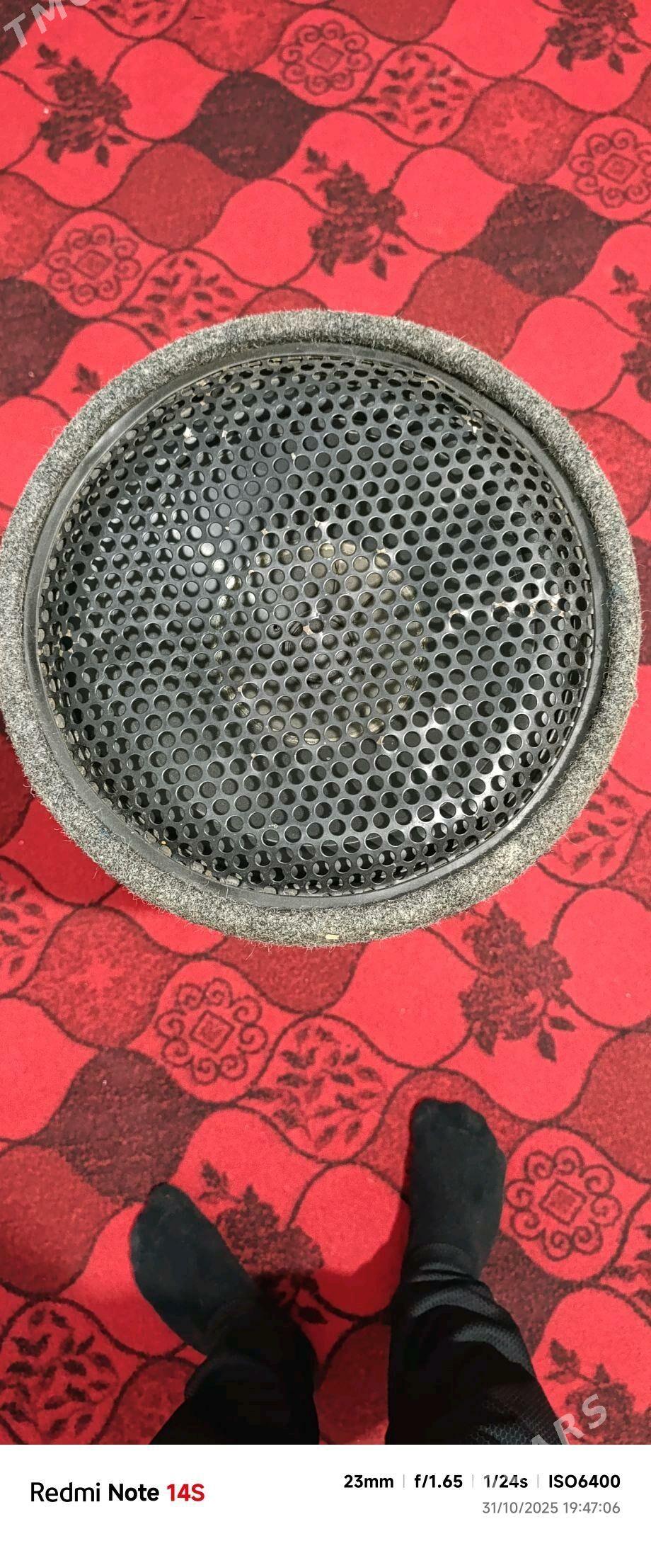 bass boçke - Daşoguz - img 3