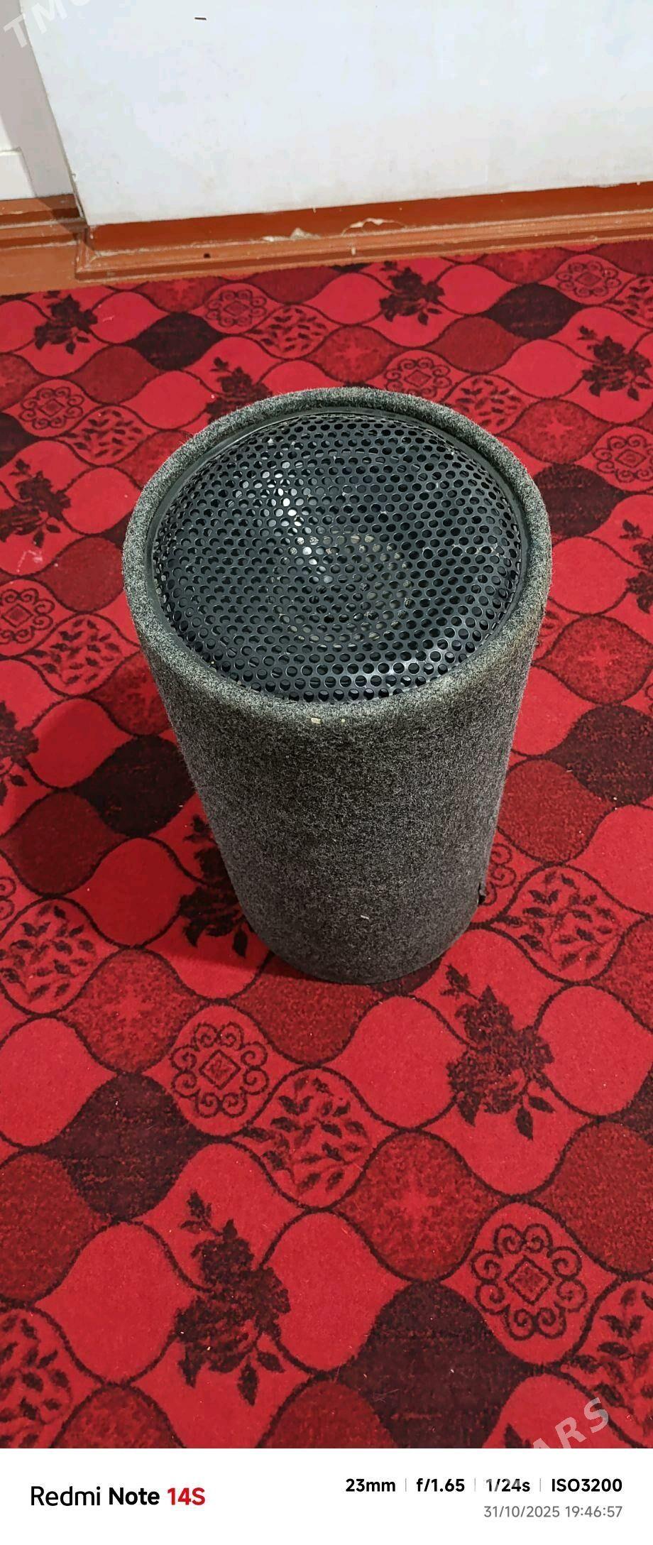 bass boçke - Daşoguz - img 4