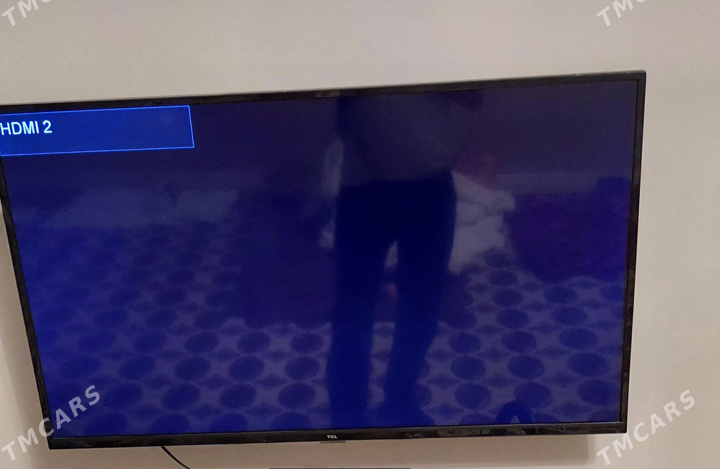 TCL - Анев - img 2