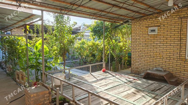 PES JAY 4 SOTUK - Туркменабат - img 1