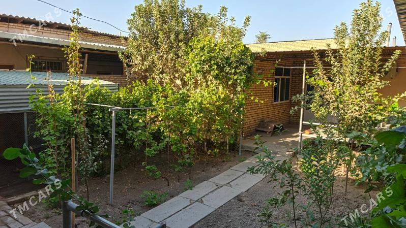 PES JAY 4 SOTUK - Туркменабат - img 2