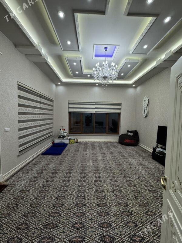 Gokje Plan jay - Gökje - img 3