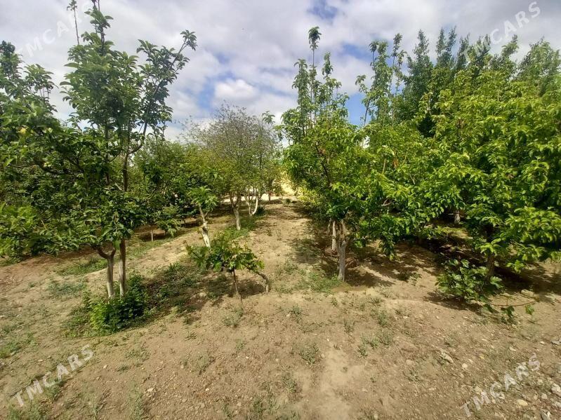 er jaÿ Bagyr  Mirowa - Багир - img 5