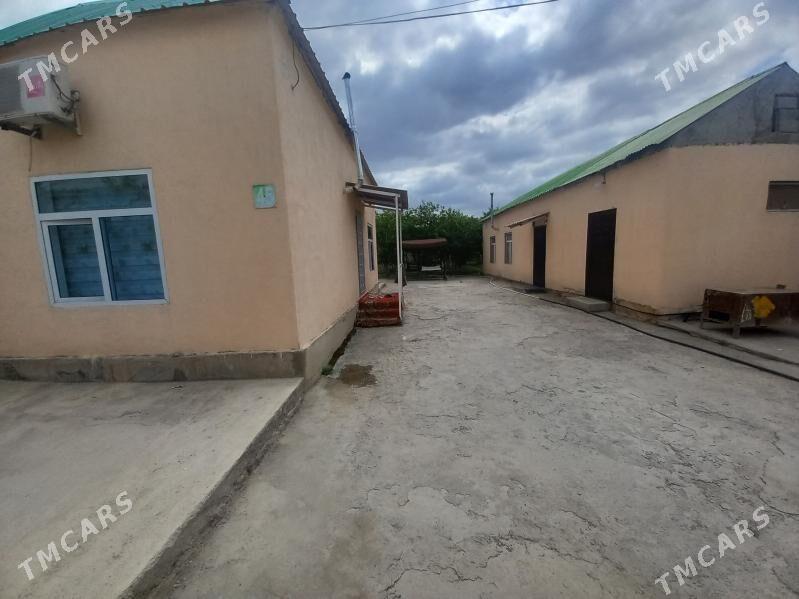 er jaÿ Bagyr  Mirowa - Багир - img 3