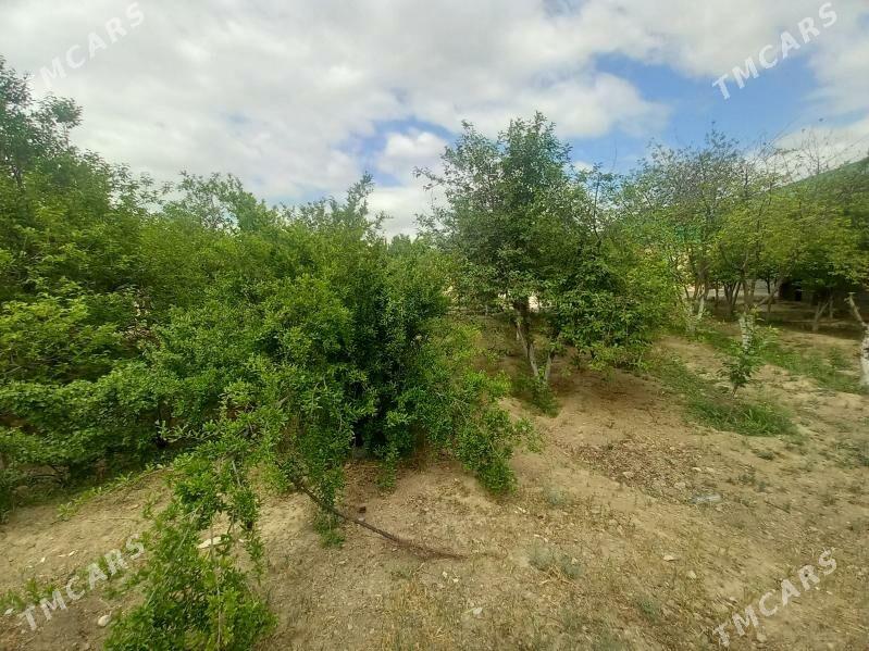 er jaÿ Bagyr  Mirowa - Багир - img 4