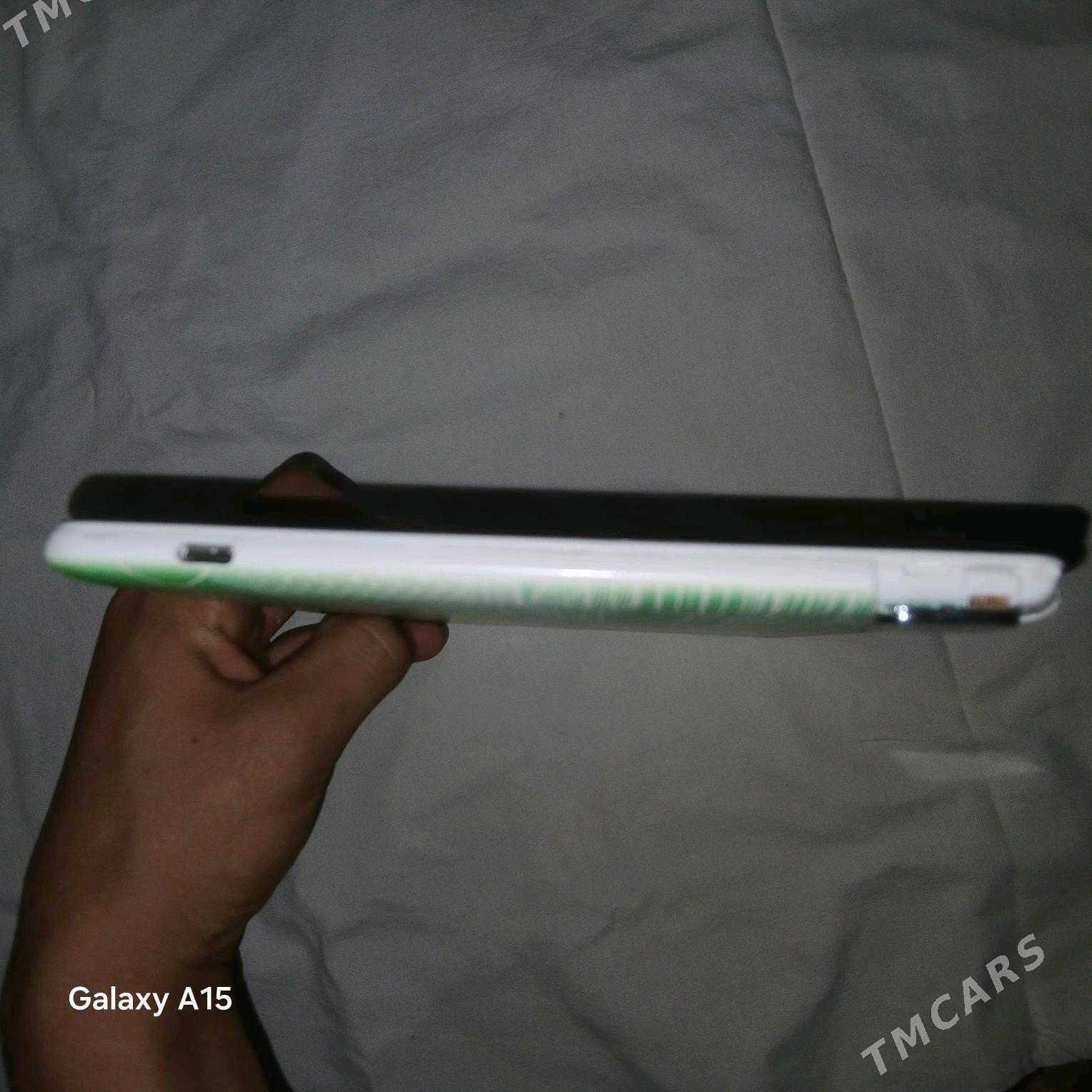 Aýtab - Sakarçäge - img 2