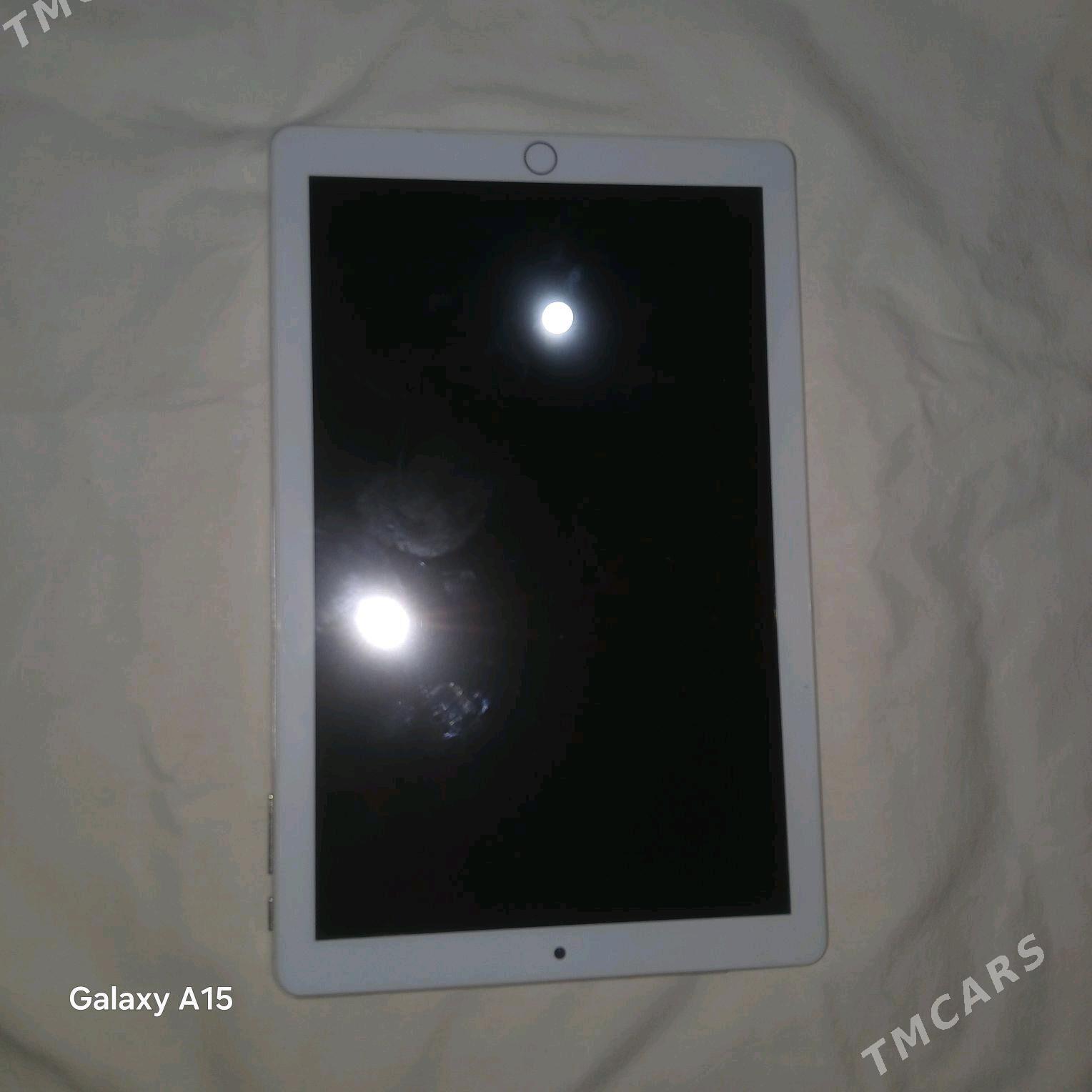 Aýtab - Sakarçäge - img 1