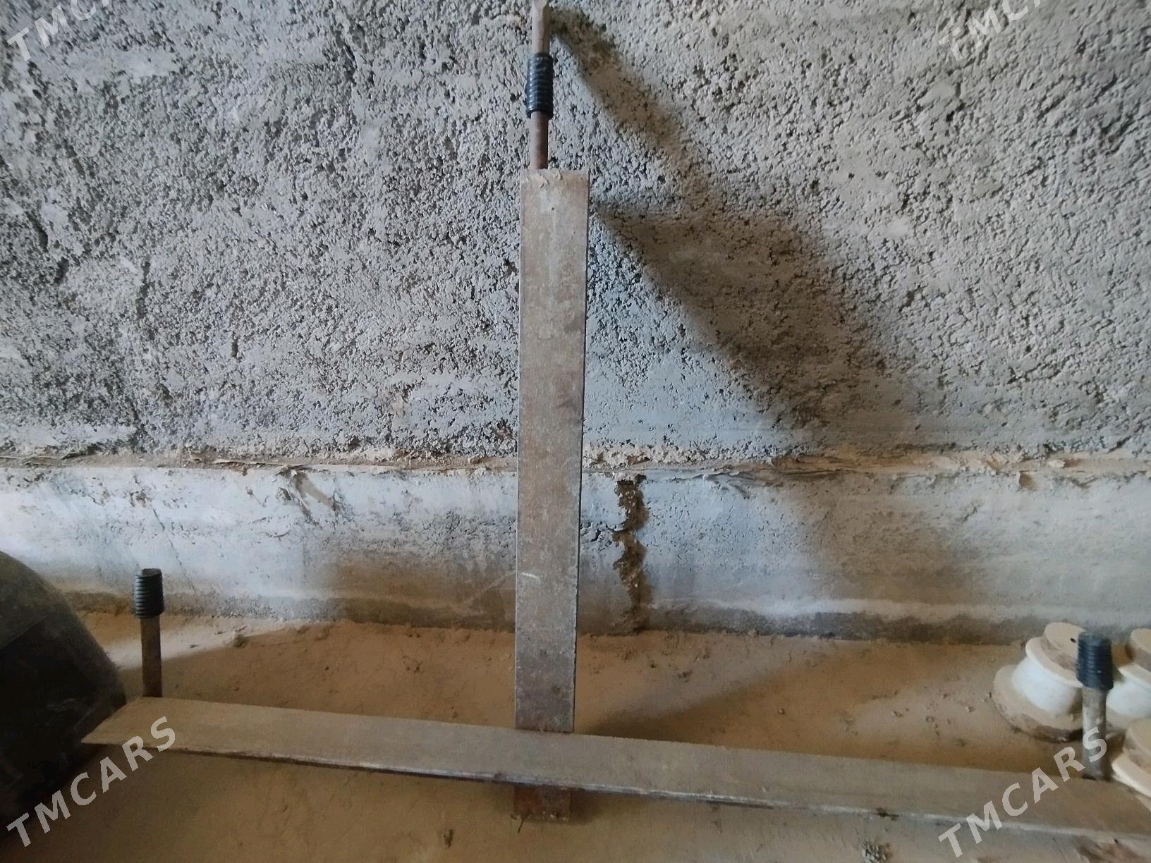 Trawers - Mary - img 1