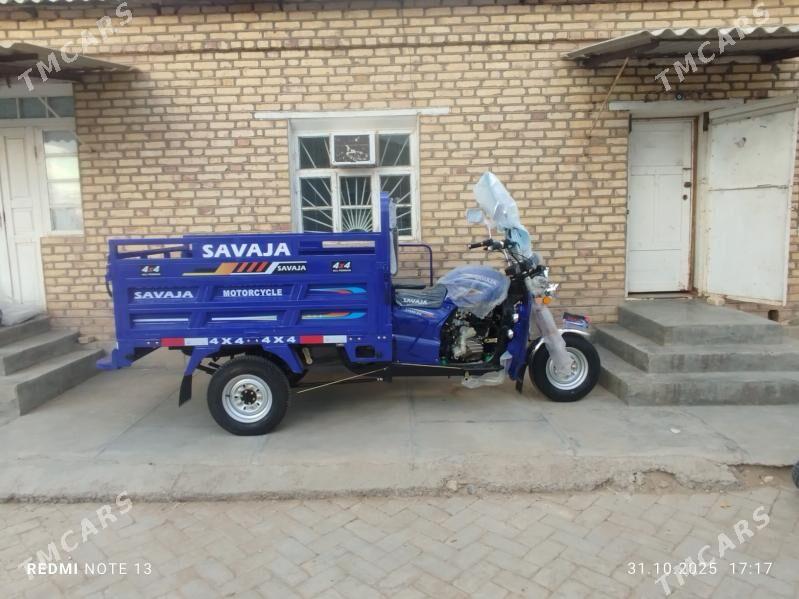 Fekon FK200-14G 2025 - 30 000 TMT - Сакарчага - img 1