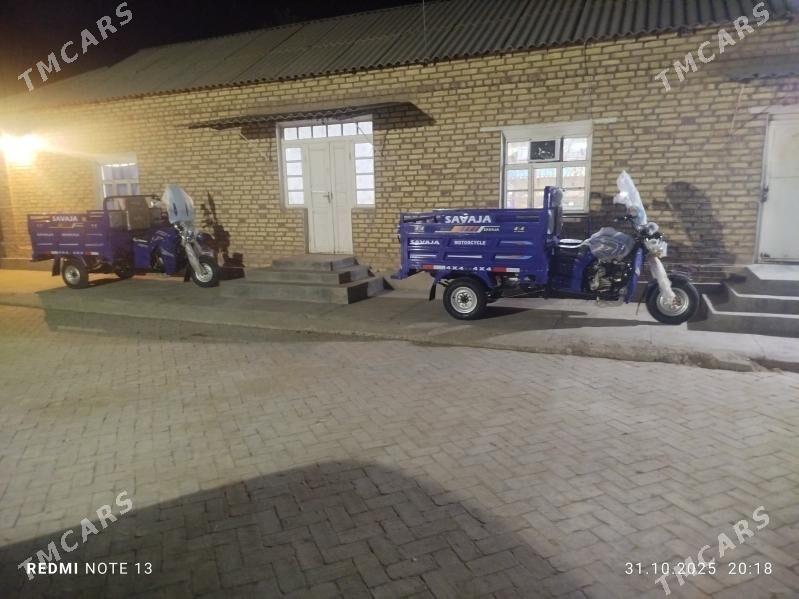 Fekon FK200-14G 2025 - 30 000 TMT - Сакарчага - img 3