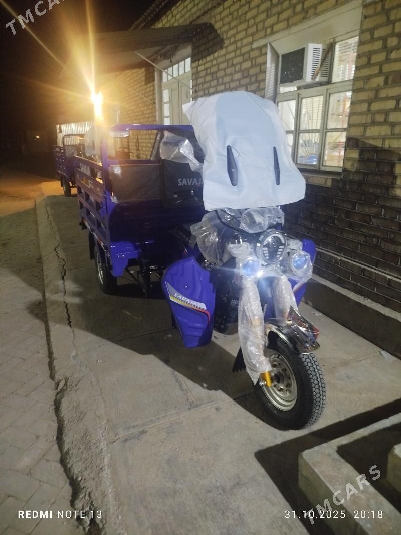 Fekon FK200-14G 2025 - 30 000 TMT - Сакарчага - img 2