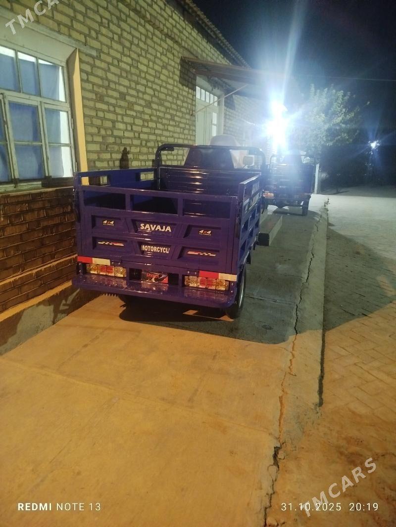 Fekon FK200-14G 2025 - 30 000 TMT - Сакарчага - img 4